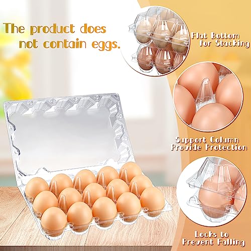 Zubebe 200 Clear Plastic Egg Trays - Bulk Empty Chicken Egg Tray Holds Securely - Clear Blank Egg Cartons for Farm, Market, Home Refrigerator Storage (3 x 5 Grids) - size: 3 x 5 Grids