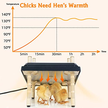 Brooder Heater for Chicks: Chick Brooder Heating Plate with Easy- Cleaning Plate Poultry Coop Heater Chicks Warmer 12" x 12" for 20 Chicks Adjustable Height Brooding Heater 22 Watts - color: Black-12x12
