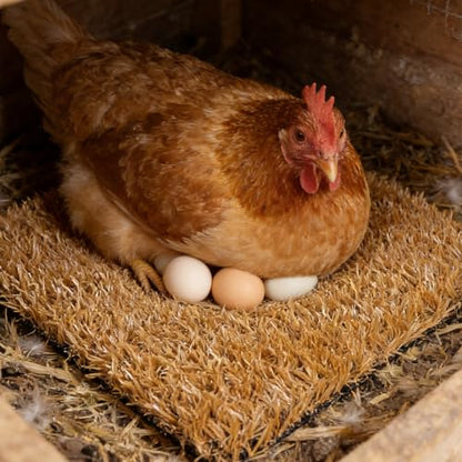 Levemolo 6pcs Chicken Coop Nesting Pads - Washable Grass Carpet Nest Mat for Laying Hens - Artificial Turf Bedding for Poultry House and Chicken Box Liners 12x11.8 Inch - color: Light Brown