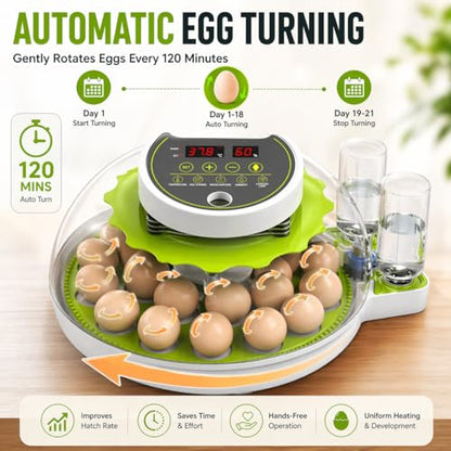 ME JO 18 Egg Incubator with Automatic Turner & Humidity Control, Built-in Candler, Egg Incubator for Chicken, Duck, Quail Eggs, Easy Hatch for Home, Farm, Classroom