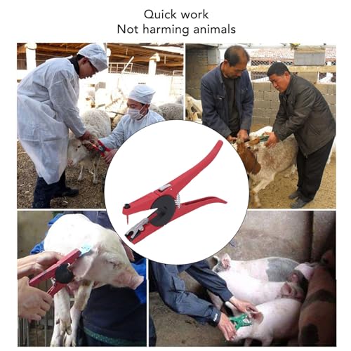 Livestock Ear Tag Applicator Universal Animal Ear Tag Pliers for Cattle Pigs Sheep Goats