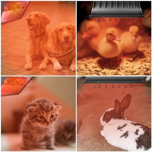 Chicken Coop Heater for Chicks,Brooder Heater with 2pcs Heat Lamp(250W and 175W),Adjustable Temp & Height Chicken Brooder Box Supplies for Chicken Livestock Dogs Sheep Pets - size: 1 Pack