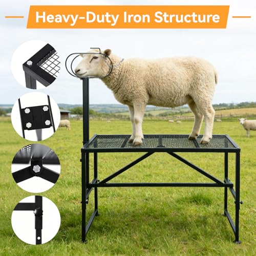 Goat Milking Stand for Trimming Hooves, 47x23" Heavy Duty Metal Sheep Stand & Livestock Shearing Platform with Headpiece, Rust-Resistant Farm Equipment for Washing, Grooming & Milking