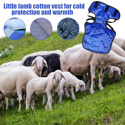 Calf Coat - Waterproof Warm Clothes, Calf Warming Blanket for Barn, Protective Cover with Rain Resistance, Farm Supply, Insulated Wrap for Winter Grazing and Outdoor Nights