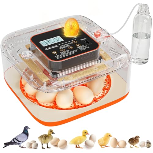 Incubators for Hatching Eggs Automatic Egg Incubator with Temperature Control Humidity Display 12 Egg Capacity for Chicken Duck Goose Eggs Digital Display Auto Turner 360° View (Orange Yellow) - color: Orange Yellow