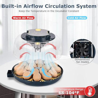 Incubators for Hatching Eggs, 18 Eggs Incubator with Egg Candler, Auto Egg Turner, Temp & Humidity Control, Hatch Day, Auto Water Refill, 2 Size Egg Tray, 360° Viewing for Chicken, Duck, Quail - size: 18 Chicken Eggs
