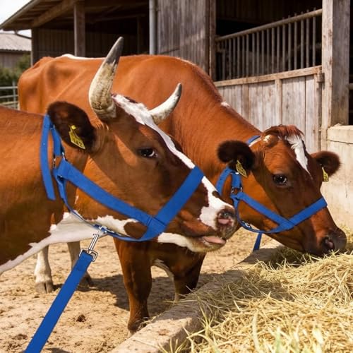2 PCS Cow Halter Adjustable Calf Halter with Leading Rope, Heavy Duty Nylon Cattle Halters for Horse/Donkey/Goat/Cattle, Foal