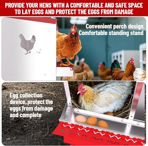 Chicken Nesting Box, 10 Compartment Metal Chicken Nesting Boxes with Bracket Legs for Chicken Coop, Large Vented Holes Chicken Laying Boxes with Rollout Egg Collection - color: Red, size: 10 Holes with Legsompartments with legs