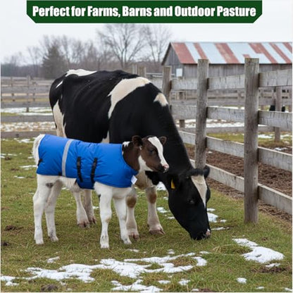 Livestock Calf Blanket – Waterproof Insulated Winter Calf Jacket for Newborn & Young Calves, Windproof Calf Coat, 3 Pack