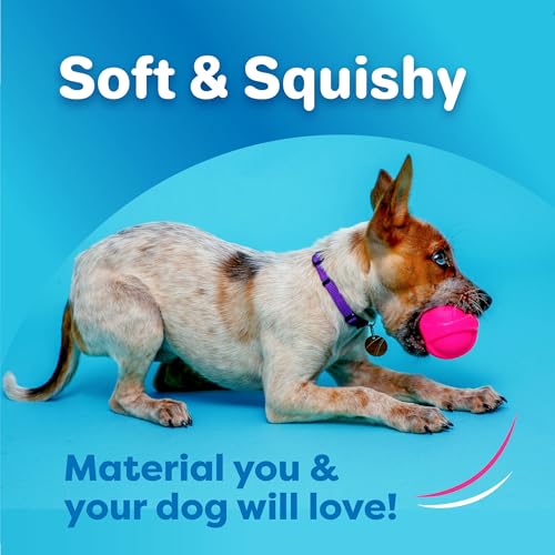 Hartz DuraPlay Bacon Scented Dog Toys, Large 1 Count, Colors may vary - size: 1 Count, style: Large Ball