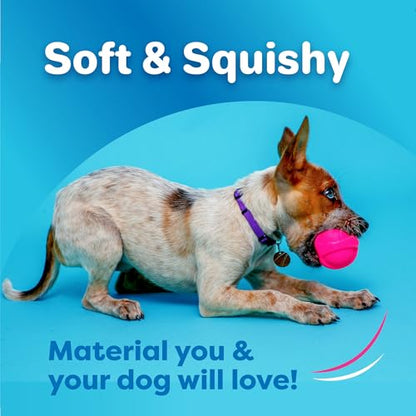 Hartz DuraPlay Bacon Scented Dog Toys, Large 1 Count, Colors May Vary (Pack of 2) - size: 2 Count, style: Large Ball