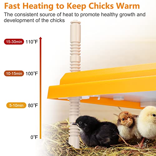 Brooder Heater for Chicks, 12" x 12" Thermostatically Controlled Brooder Heating Plate, Chick Brooder Heater with Adjustable Height and Angle
