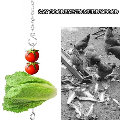 Chicken Coop Accessories Kit, Chicken Enrichment Toys, Vegetable Hanging Feeder for Backyard Chickens, Hens, Ducks & Poultry, 2 Pack
