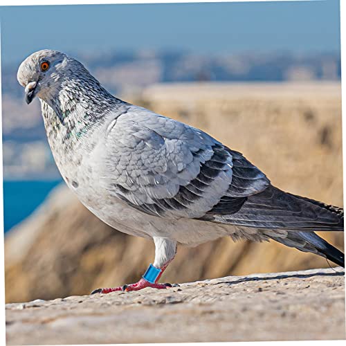 YARNOW 100pcs Sturdy Pigeon Tracking Accessories Aluminum Leg Bands for Racing Birds Random Color