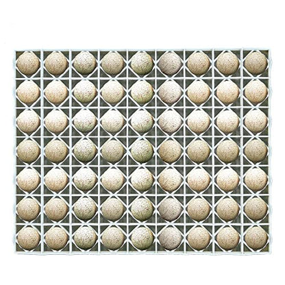 Hatching Time Egg Setter Tray (63 Duch/Turkey Eggs), Good Fit, Durable, Washable, Easy to Clean, Cimuka, Fits Incubators, ABS Plastic - style: 63 Egg Setter Tray - Duck/Turkey