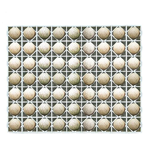 Hatching Time Egg Setter Tray (63 Duch/Turkey Eggs), Good Fit, Durable, Washable, Easy to Clean, Cimuka, Fits Incubators, ABS Plastic - style: 63 Egg Setter Tray - Duck/Turkey