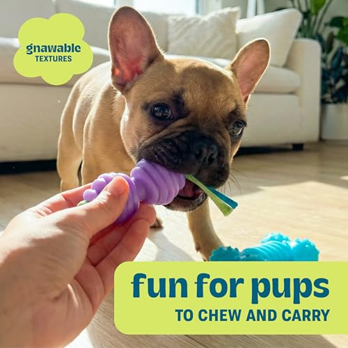 Chew Dog Toys for Teething Puppies & Small Dogs up to 15 lbs, Multi-Texture Dental Support, Bounces & Floats, Moderate Chewers, 2-Pack, 5" - size: Mini (Pack of 2)