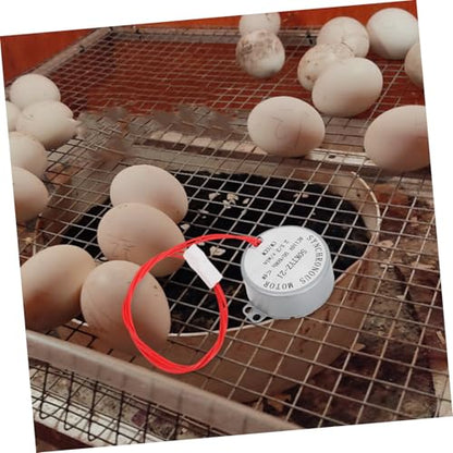 YARNOW Synchronous Egg Turner Motor for Incubators Small Electric Turntable Motor Replacement for Chicken Duck and Quail Eggs Practical Incubator Accessory