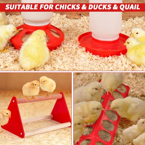 6 Pack Chick Feeder and Waterer Set - Chick Starter Kit with Mini Perch, Automatic Chicken Waterer & Feeder for Ducks/Quail, Coop Brooder Supplies for Small Poultry