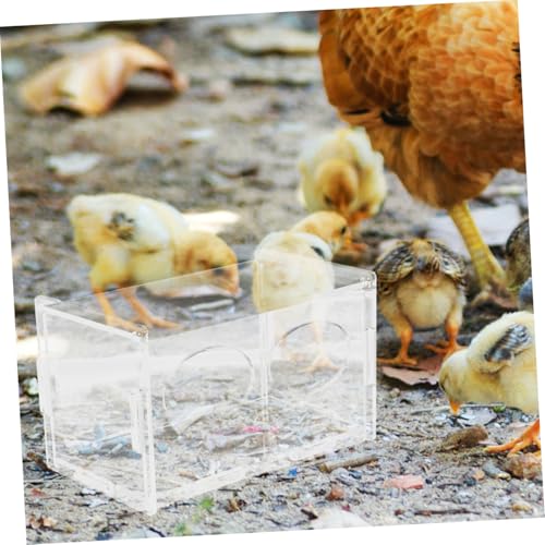 3pcs Chicken Feeding Holder Two Compartments Automatic Poultry Feeder for Backyard Farmers and Hobbyists for Chickens and Quails