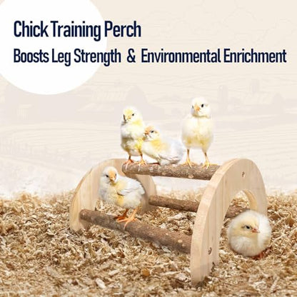 Baby Chicken Perch - Natural Wood Chick Roosting Bar for Brooder, Baby Chicken Supplies （2 Pack） - size: 2 Pack