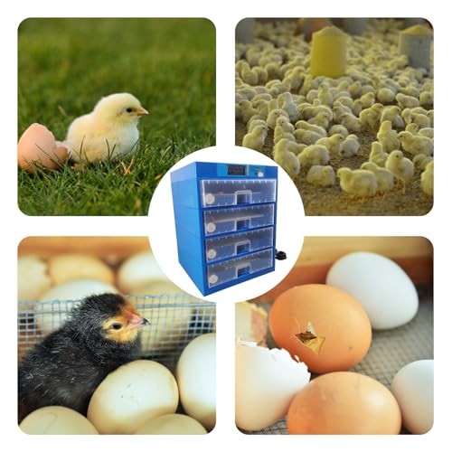 256 Eggs Incubator with Auto Turning Watering Temperature Humidity Display Drawer Style Tray for Chicken Duck Quail Eggs 80W 110V