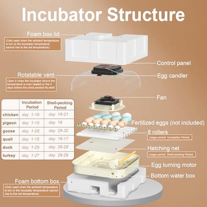 CoInceptus 35 Eggs Incubators for Hatching Eggs,Egg Incubator with Automatic Egg Turning and Humidity Control,Chicken Egg Incubator with Egg Candler, Incubator for Chicken, Duck, Goose, Pigeon, Quail