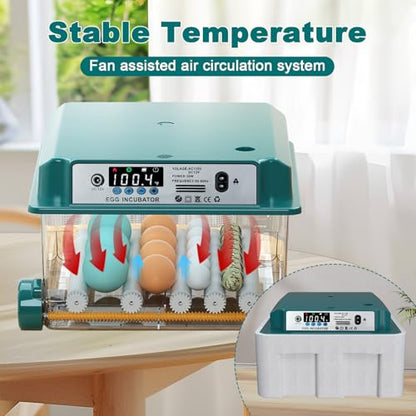 CoInceptus 16 Eggs Incubators for Hatching Eggs, Egg Incubator with Automatic Egg Turning and Temperature Control, Chicken Egg Incubators with Egg Candler for Duck Goose Pigeon Quail - size: 16 Egg