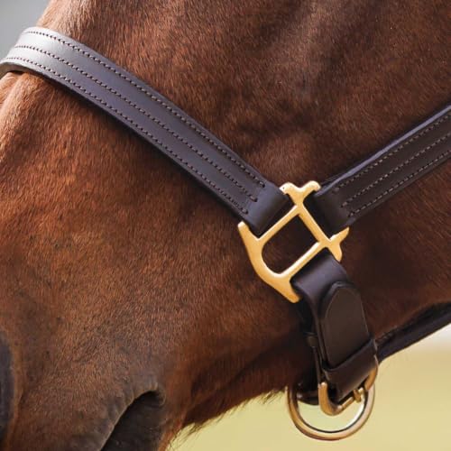 Country Pride Fairfield Triple Stitched Leather Halter - size: Horse