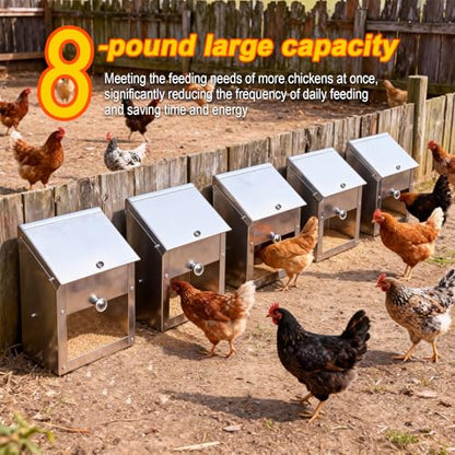 Stainless Steel Gravity Feeder for Squirrel, No Waste Hanging Chicken Feeder with Lid, Wall Mount Food Box for Duck Goose Stray Cat Small Pets Indoor Outdoor (10 lbs)