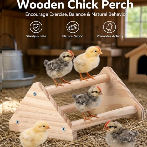 Wood Chicken Perch,Strong Pine Wooden Chick Training Perch with 3 Roosting Bar,Gym Perch Toys for Baby Chicks & Parrots,Easy to Assemble