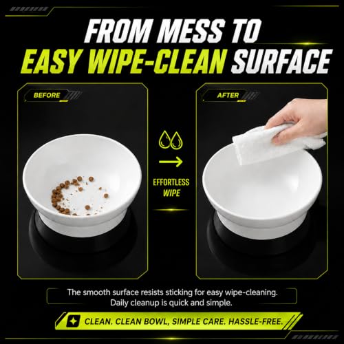 LivLab Mker Raised Cat Bowl, Elevated Cat Food Bowls with Stand - 15° Tilted Shallow Cat Dish for Whisker Fatigue Relief, 4.5" Height for Easy Feeding, Lead & Cadmium Free Melamine Bowl, White - color: White