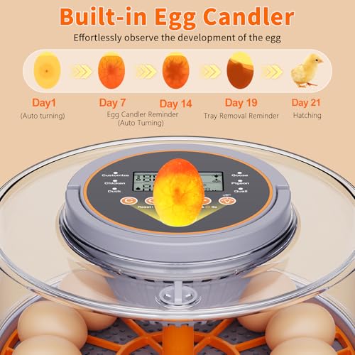 12 Egg Incubator with Automatic Egg Turning and Humidity Control 760° Turner,Incubators for Hatching Eggs, High Hatchr for Chicken Duck Quail Pigeon,Science Classroom, Home | Incubator for Chicken Eggs,Duck,Goose,Quail,Snake,Egg Incubator with Automatic E