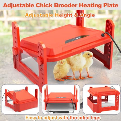 Chick Brooder Heating Plate with Adjustable Temperature, Chicken Brooder Heater for Baby Chicks, Ducklings, Safer Alternative to Heat Lamps, Adjustable Height, Brooder Plate 130W 19"x19" Red