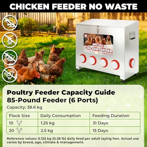 Sidasu 85 lbs 6-Port Galvanized Chicken Feeder No Waste with Locking Lid&Riveted Handles,Adjustable Height,Large Capacity Rainproof Automatic Chicken Feeders for Chickens, Poultry Coop,Silver - size: 85lbs