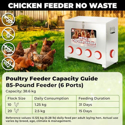 Sidasu 85 lbs 6-Port Galvanized Chicken Feeder No Waste with Locking Lid&Riveted Handles,Adjustable Height,Large Capacity Rainproof Automatic Chicken Feeders for Chickens, Poultry Coop,Silver - size: 85lbs