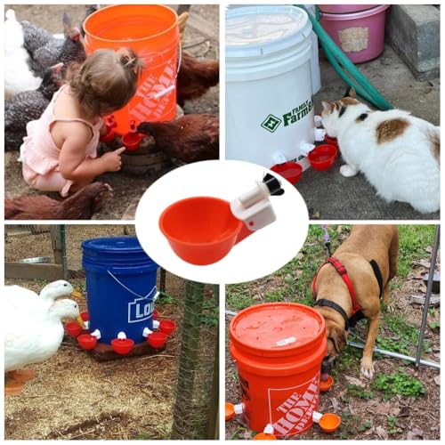 Chicken Waterer Cups, 12 Packs Poultry Water Feeder with Drill, Large Poultry Waterer Automatic Waterer for Chicken Coop, Duck, Chicks, Goose, Turkey, Bunny, Bird (Red, 12 Pack) - size: 12 Pack
