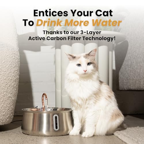 The KittySpout Stainless Steel Wireless Cat Water Fountain, 4L/108oz - color: Stainless