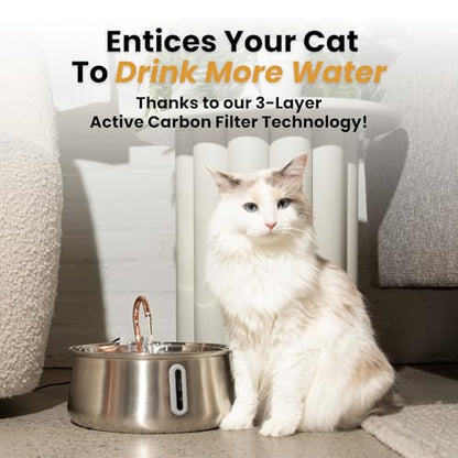The KittySpout Stainless Steel Wireless Cat Water Fountain, 4L/108oz - color: Stainless