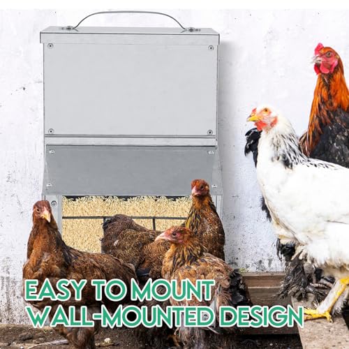 Uiifan 2 Pcs 11.5 lb Galvanized Chicken Feeder Weatherproof Poultry Metal Food Dispenser with Lid Chicken Duck Food Dispenser Rat Proof Feeder for Poultry Geese Quails Bantams Ducks and Turkey - size: 11.5 lb