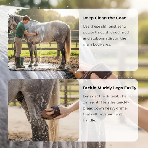 HOP Professional Equine Stiff Body Brush – Heavy Duty Mud & Sweat Remover – Natural Hard Bristles with Ergonomic Wood Handle – Adjustable Leather Strap for Grooming Horses & Livestock