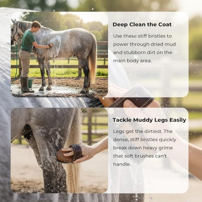 HOP Professional Equine Stiff Body Brush – Heavy Duty Mud & Sweat Remover – Natural Hard Bristles with Ergonomic Wood Handle – Adjustable Leather Strap for Grooming Horses & Livestock