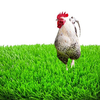 6 Pack Chicken Nesting Pads-12×12", Artificial Thicken Washable Grass Nesting Box Liners Pads Reusable Laying Eggs Bedding for Chickens Coop Pet Indoor Outdoor