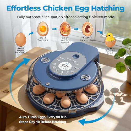 15 Egg Incubator for Hatching Eggs, 5 Preset Incubation Modes + 1 Custom Mode with Adjustable Temperature & Humidity Control, Automatic Egg Turning for Duck, Chicken, Goose, Pigeon & Quail