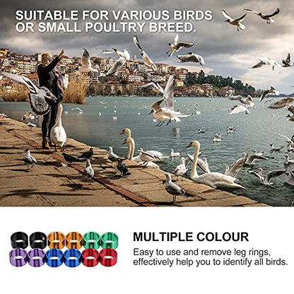 12pcs Bird Leg Bands Identification for Chickens and Parrots Easy to Use and for Marking and Managing Birds