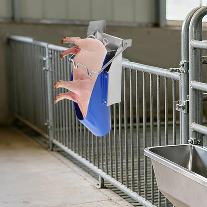 Pig CastRodention Tool & Piglet CastRodention Device, Stainless Steel CastRodention Rack with Position Restraint System, Livestock Breeding Equipment for Farm Swine Management and Animal Husbandry
