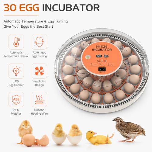 30 Egg Incubator with Automatic Egg Turning, Temperature Control and Humidity Monitor Incubators for Hatching Eggs, Chicken, Ducks, Goose, Pigeon, Quail, Parrot Incubator for Farm, Lab - size: 30-EGGS