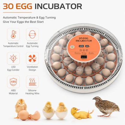 30 Egg Incubator with Automatic Egg Turning, Temperature Control and Humidity Monitor Incubators for Hatching Eggs, Chicken, Ducks, Goose, Pigeon, Quail, Parrot Incubator for Farm, Lab - size: 30-EGGS