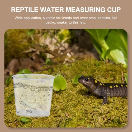 HEMOTON 30pcs Reptile Feeding Cups Set 20ml Graduated Measuring Bowls for Lizard Gecko Water and Food Feeder Pet Terrarium Supplies