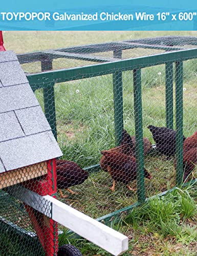 TOYPOPOR Chicken Wire 16'' x 600''(40cm x 15m), Outdoor Anti-Rust Hexagonal Galvanized Chicken Wire Mesh Fencing to Protect Gardening Plants Vegetables Flowers Fruits From Dogs Rabbits Squirrels, 49ft - size: 16 in x 49 ft (100 Ties)